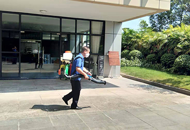 這些殺蟲小妙招只要用起來害蟲全部死光光！